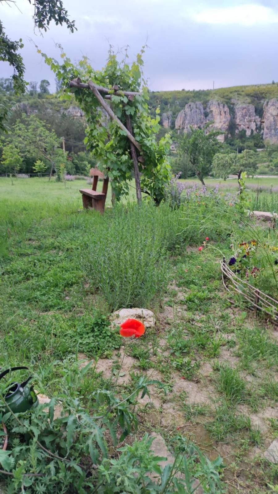 Ecopark Sadzhaka Campsite *